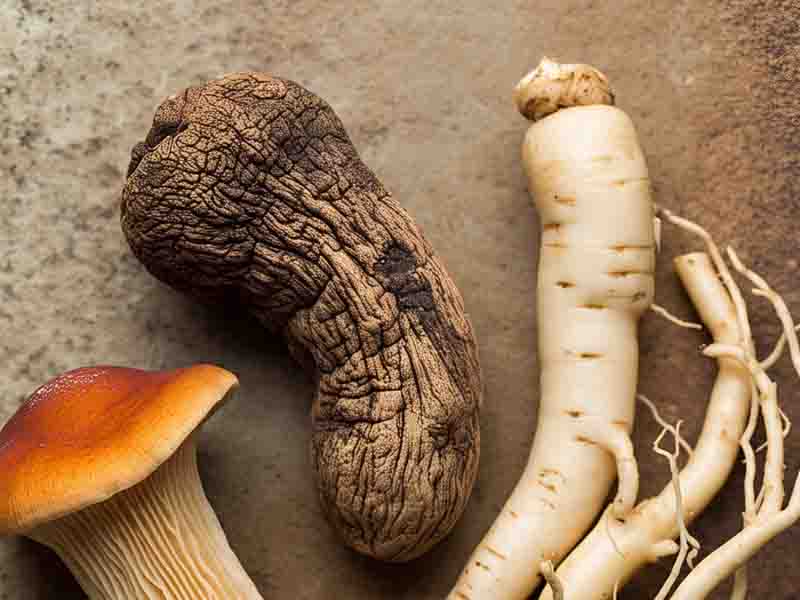 Adaptogen dalam Skincare